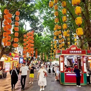1 Day Private Shunde Tour from Guangzhou with Guide & Driver