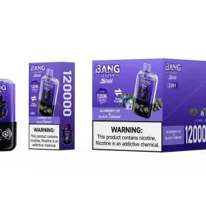 Bang Leader Stoll 120K Puffs 120000 Disposable Vape 2-In-1 Flavors