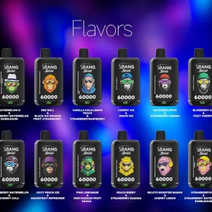 Bang Stoll 60000 60k Puff Vapes Leader | 2 In 1 Dual Flavor Rechargeable Disposable Vape | OEM ODM Wholesale Bulk