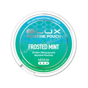 Elux Frosted Mint Nicotine Pouch